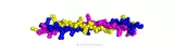 Type II Collagen