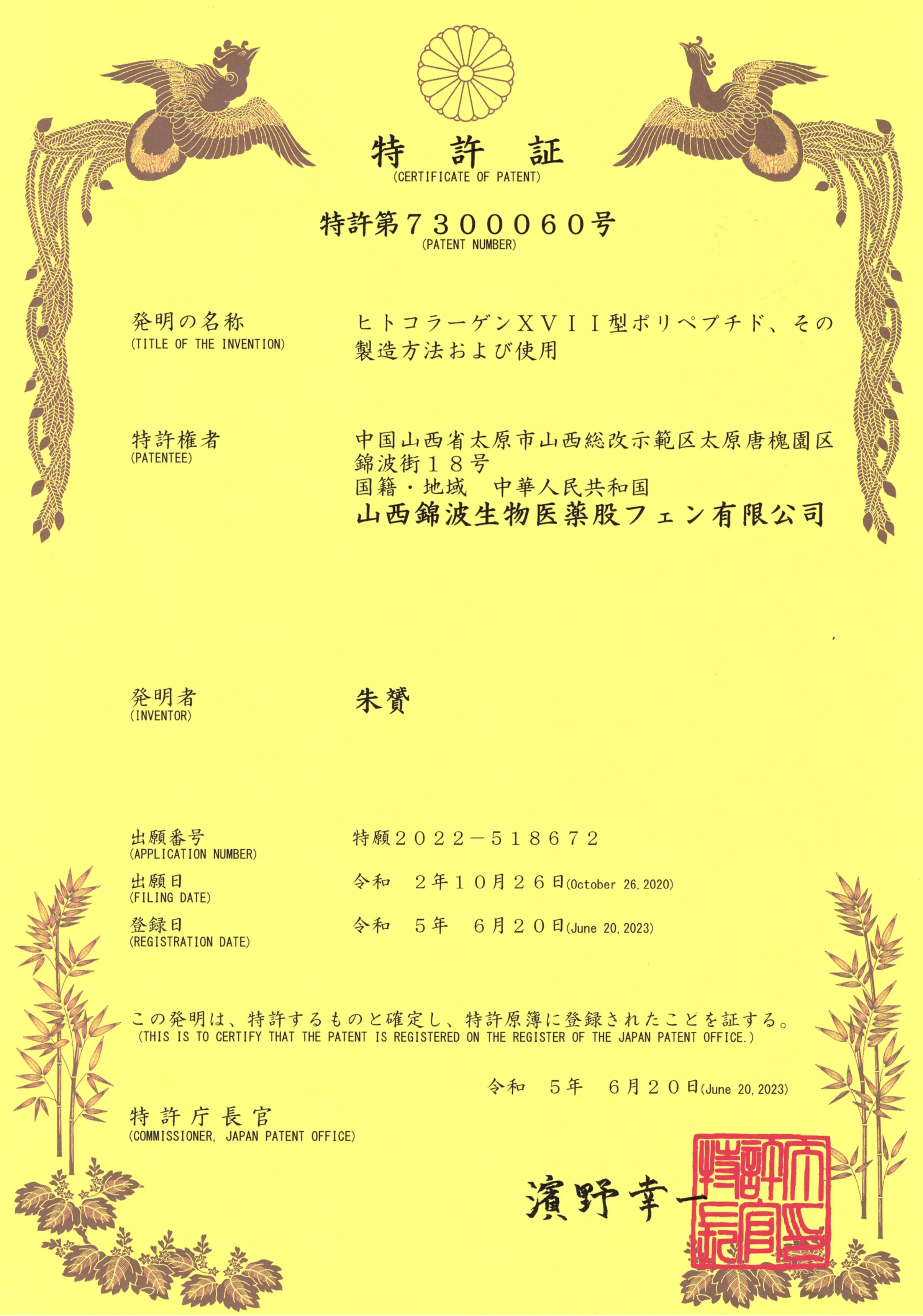 XVII型日本专利