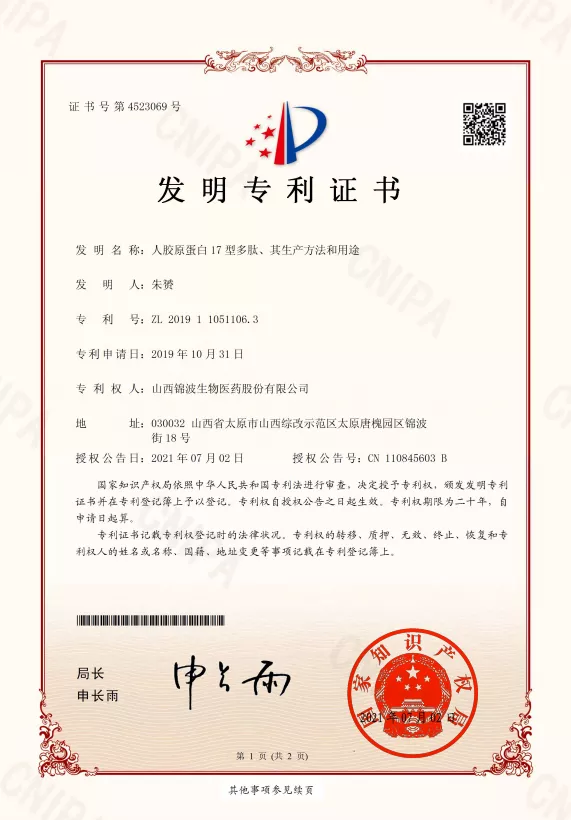 XVII型中国专利