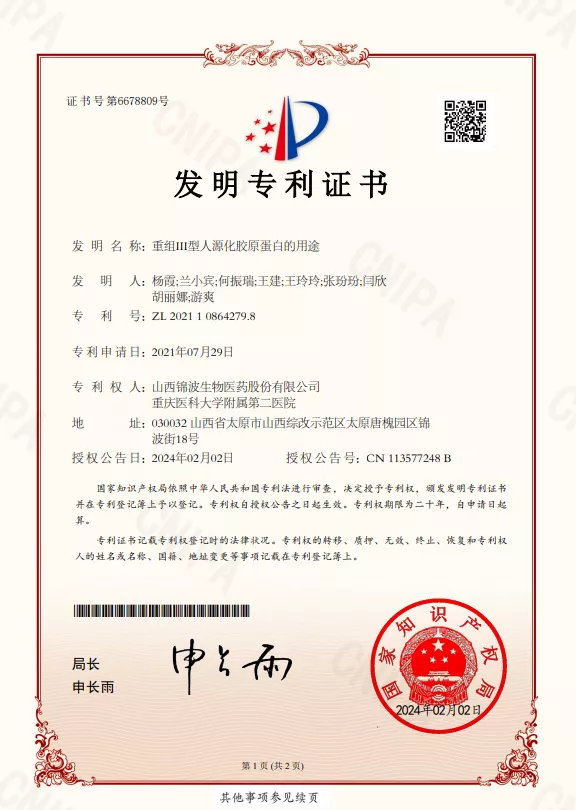 Ⅲ型中国专利